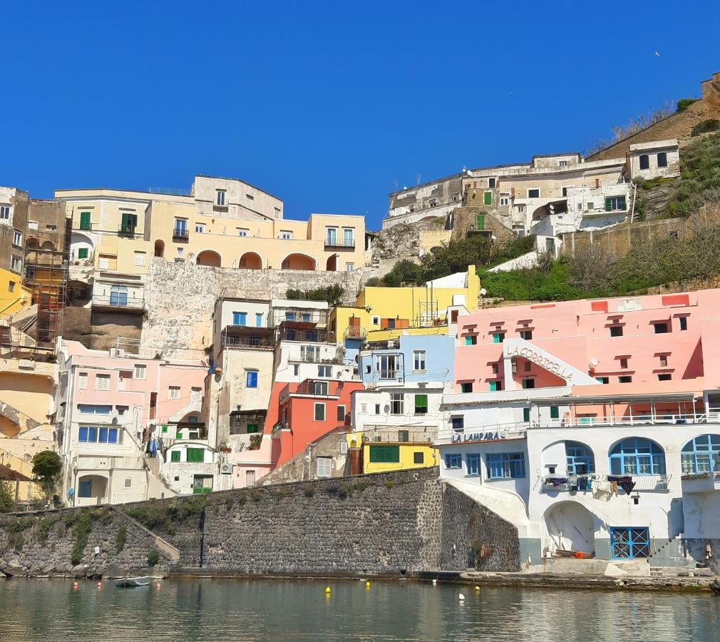 Apartament Monolocale Azzurro Procida Zewnętrze zdjęcie